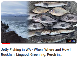 Jetty fishing 101 tips for beginners