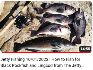Jetty fishing setup for beginners