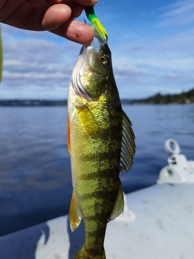 Fishing in WA, fishing in Washington State